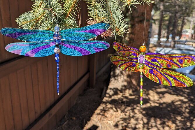 Dragonfly Suncatcher Art Kit in Estes Park - An In-Depth Look at the Dragonfly Suncatcher Art Kit Experience
