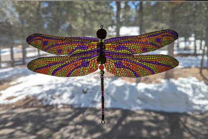 Dragonfly Suncatcher Art Kit in Estes Park - FAQ