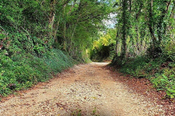 Draguzeti E-Bike Rental - The Itinerary and Scenery