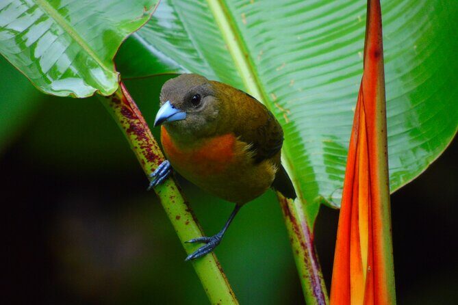 DrakeBay over night tour -RioAgujitasEcoJungle - Why This Tour Is a Great Choice