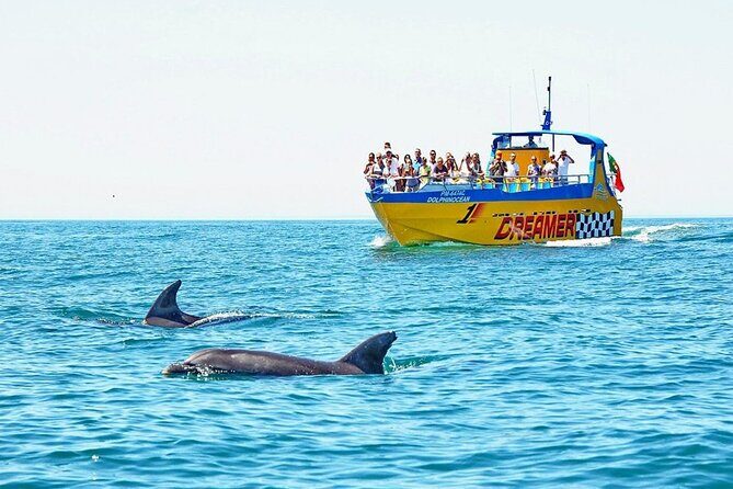 Dreamer Cave and Dolphins Boat Tour Ticket Albufeira - An In-Depth Look at the Dreamer Cave and Dolphins Boat Tour