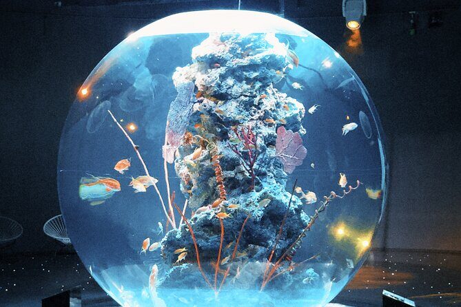 Dreamy Day Trip in Kobe - A Practical Guide to Your Kobe Day Tour