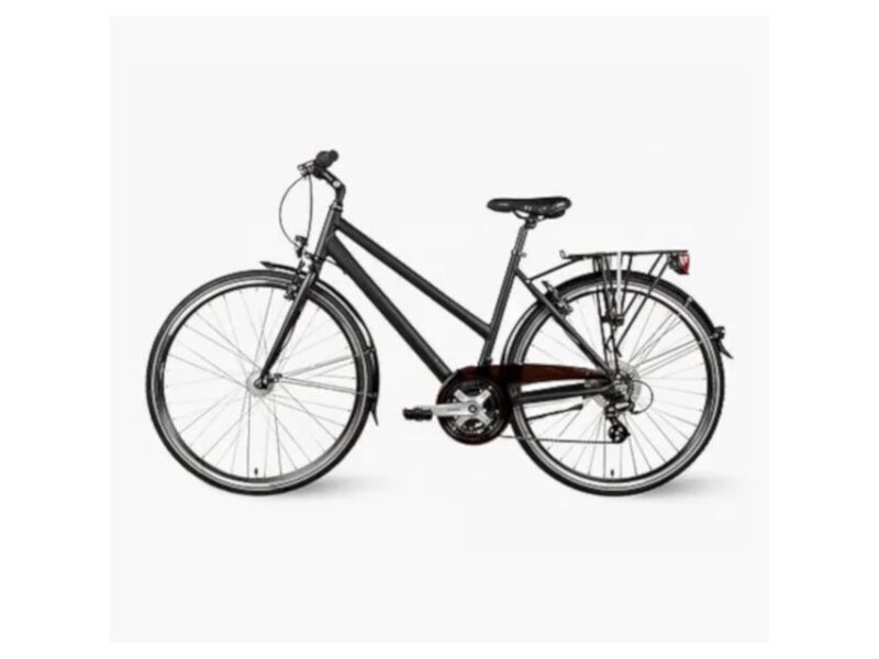 Dresden: Bike Rental - Trekking Bike - A Deep Dive into the Dresden Bike Rental Experience