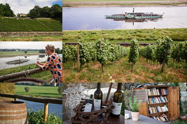 Dresden Bike Tour with Wine Tasting - Exploring Dresden by Bike and Vine: An In-Depth Review