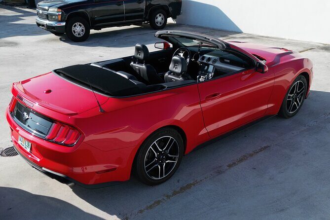 Drive a Mustang Convertible - Drive a Mustang Convertible: A Stylish Way to Explore Miami and Beyond
