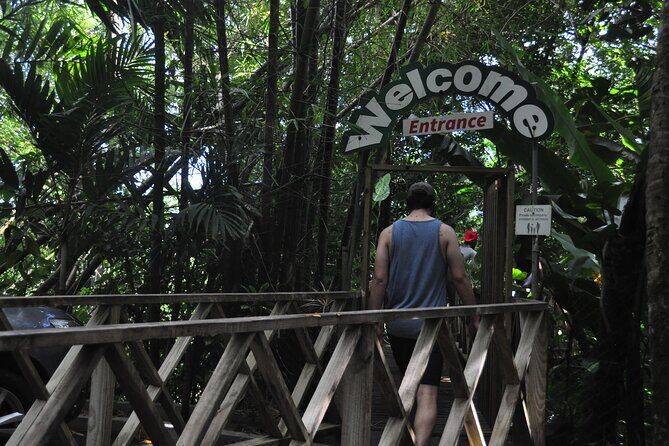 Drive and Fly - Buggy and Zipline - Scenic Views and Water Breaks