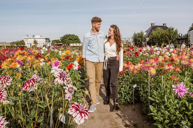 Drive it yourself electric Dune & Summer Flower GPS audio tour - Key Points