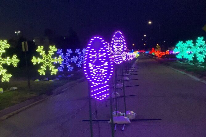 Drive through Christmas Lights Show - Final Thoughts