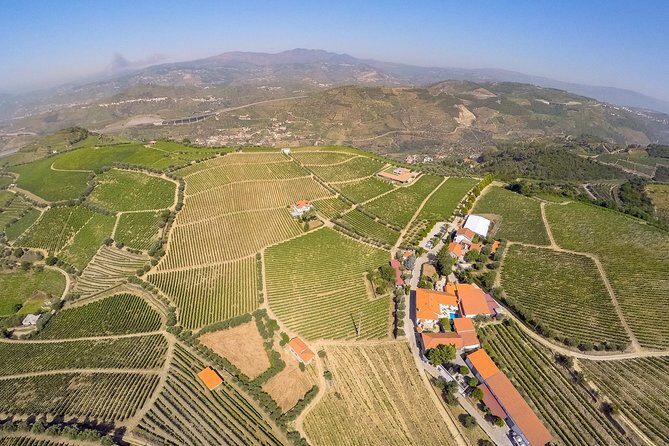 Driver with Private Vehicle in the Douro Valley - A Detailed Look at the Douro Private Driver Experience