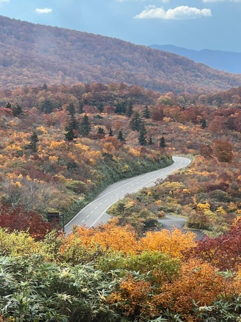 Driving Support in Akita - Exploring Akita with Support and Freedom