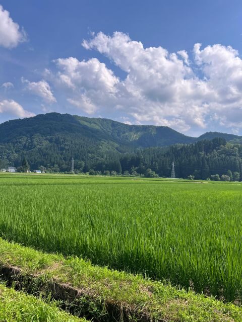 Driving Support in Akita - Practical Details: Meeting Points & Flexibility