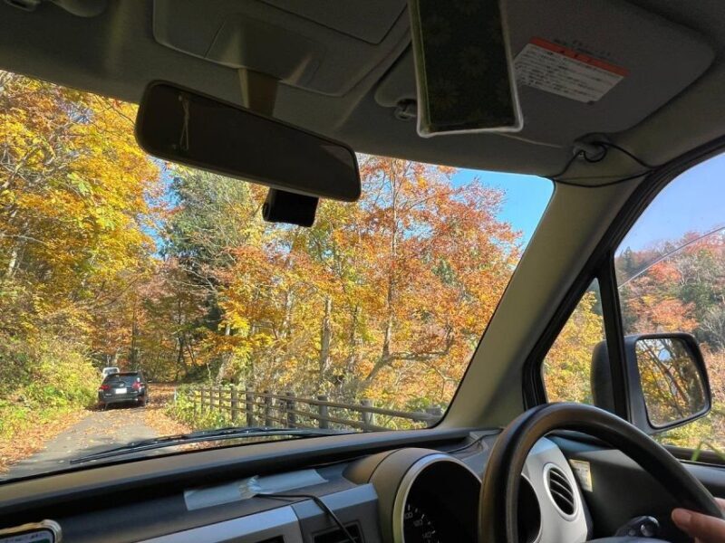 Driving Support in Akita - The Sum Up