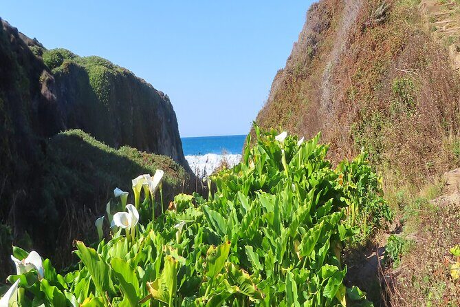 Driving the California Coast: A Self-Guided Audio Tour - FAQ