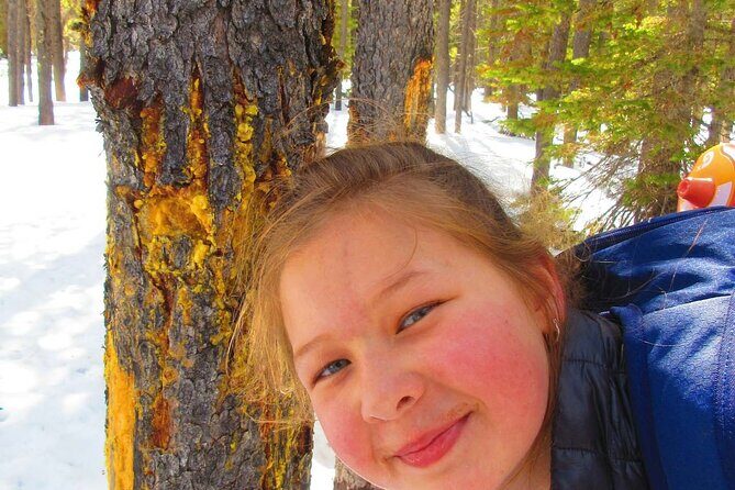 Driving Tour in Glacier National Park - Key Points