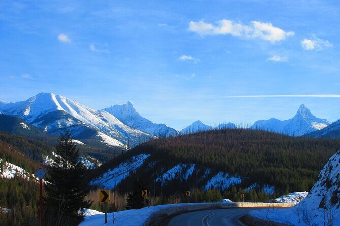 Driving Tour in Glacier National Park - Authentic Experiences and Real Traveler Feedback
