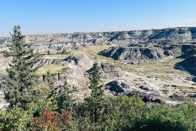 Drumheller Day Trip Museum, Dinosaurs and Historic Sites - Who Will Enjoy This Tour?
