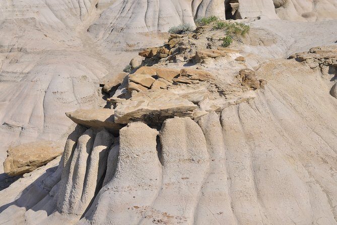 Drumheller Dinosaur Valley & Horseshoe Canyon Adventure Day Tour - In-Depth Look at the Drumheller Dinosaur Valley & Horseshoe Canyon Tour