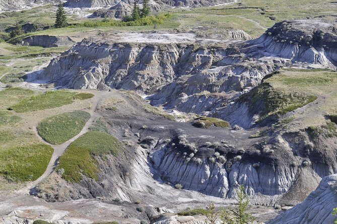 Drumheller Dinosaur Valley & Horseshoe Canyon Adventure Day Tour - FAQ