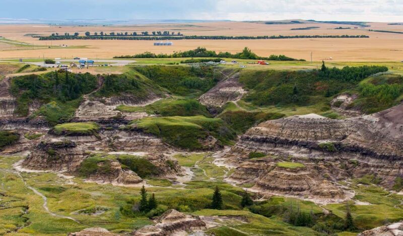 Drumheller: Dinosaurs, Canyons, & Hoodoos Day Tour - Price and Value