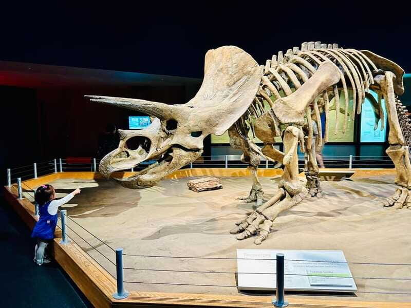 Drumheller Full-day Private Sightseeing Tour - FAQ