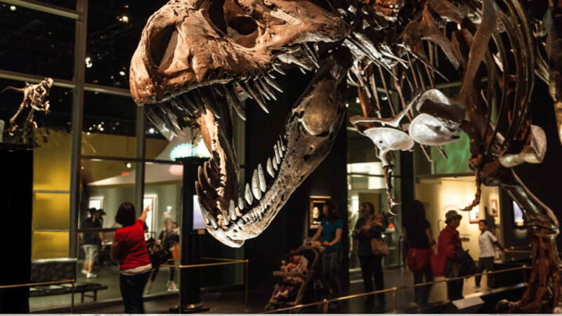Drumheller Full Day: Tyrrell Museum & Canyon Adventure - Frequently Asked Questions