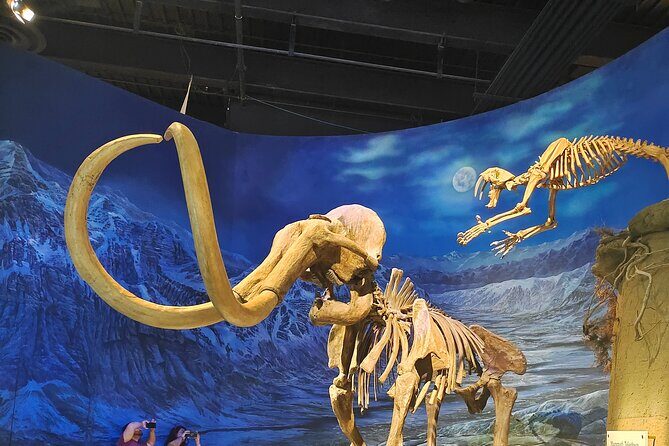 Drumheller, Royal Tyrrell Museum, Hoodoos & Coal Mine Adventure - Who Will Love This Tour?