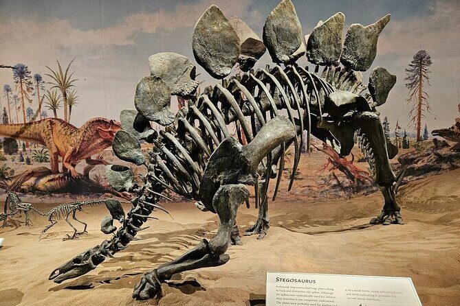 Drumheller, Royal Tyrrell Museum, Hoodoos & Coal Mine Adventure - The Sum Up: The Value of the Drumheller Adventure