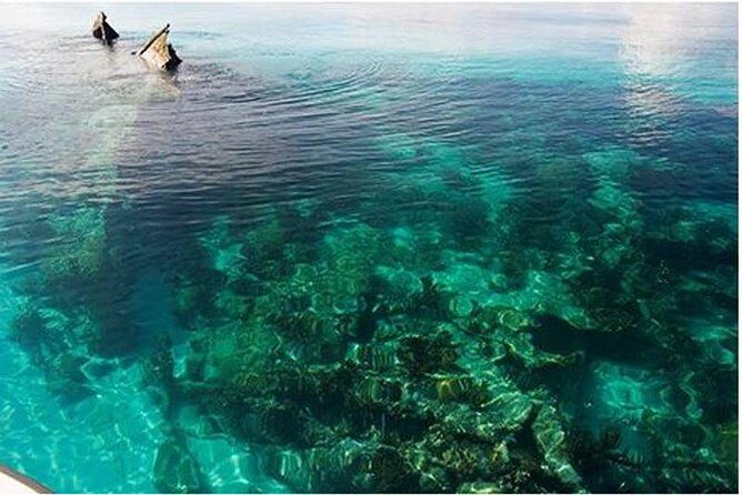 Dry Tortugas National Park Day Trip by Catamaran from Key West - A Full-Day Adventure to Dry Tortugas National Park by Catamaran