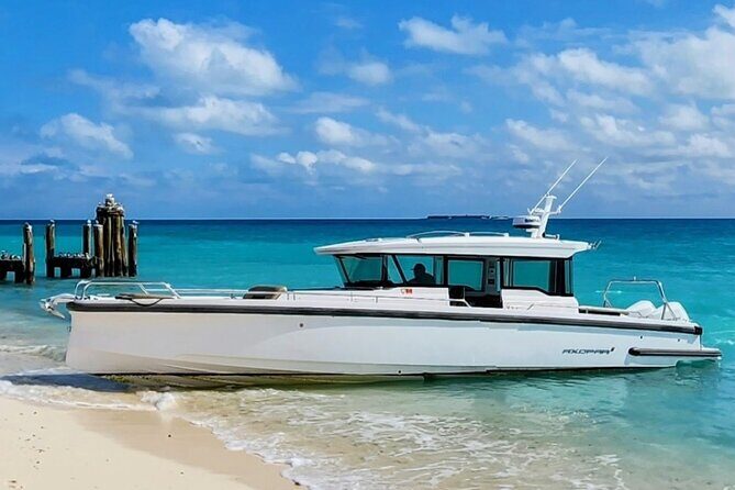 Dry Tortugas National Park Day Trip by Luxury Private Boat - Final Thoughts: Is This Tour Right for You?