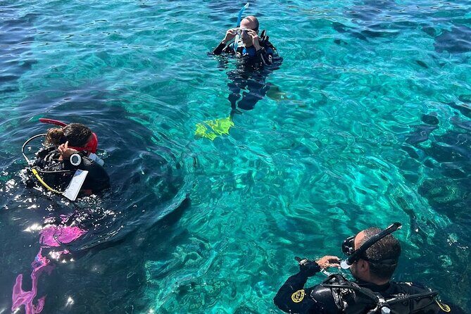 DSD | Discover scuba Diving Experience in Paros - Setting the Scene: Why Choose This Tour?