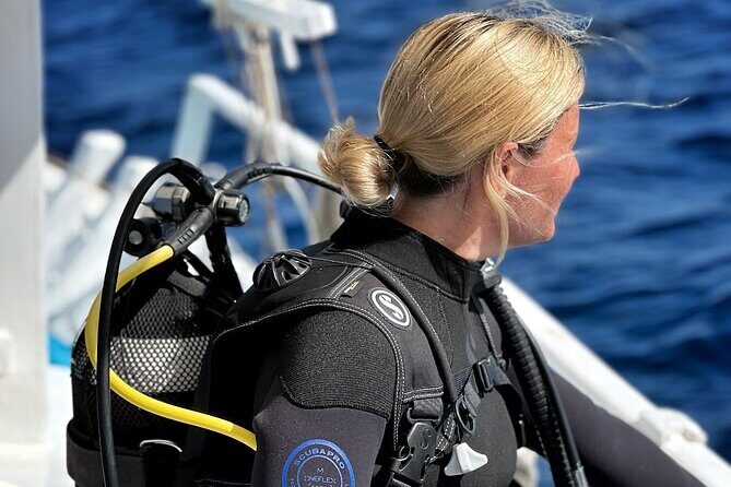 DSD | Discover scuba Diving Experience in Paros - Authentic Reviews and Experiences