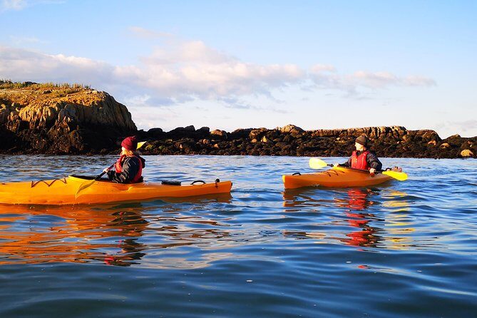 Dublin Bay Seal Kayaking Safari at Dalkey - Who Will Love This Tour?