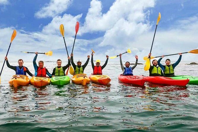 Dublin Bay Seal Kayaking Safari at Dalkey - The Sum Up