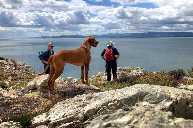Dublin Coastal Hike with Howth Adventures - Key Points
