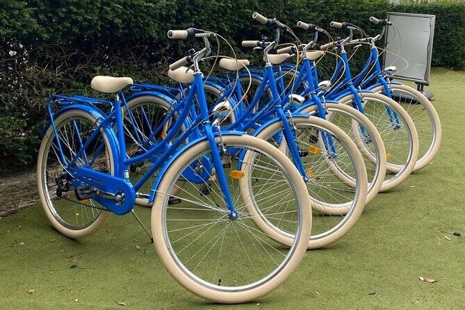Dublin Full Day Bike Rental - A Detailed Look at the Dublin Full Day Bike Rental Experience