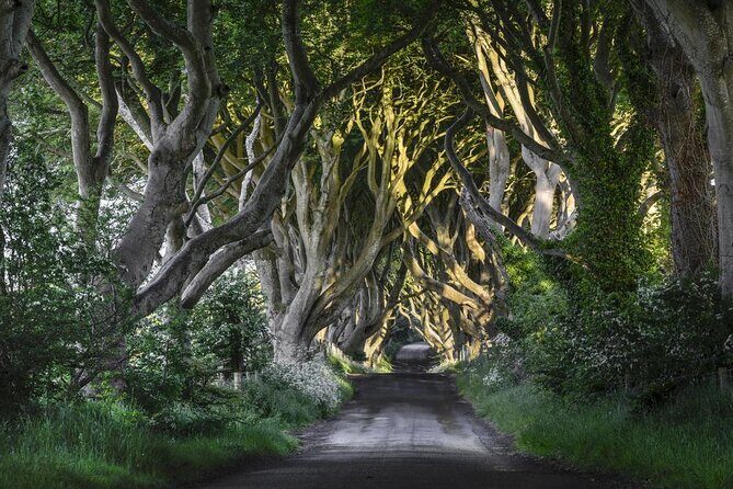 Dublin: Giant's Causeway, Dark Hedges, Dunluce and Belfast Titanic entrance fee - The Itinerary Breakdown: What to Expect at Each Stop