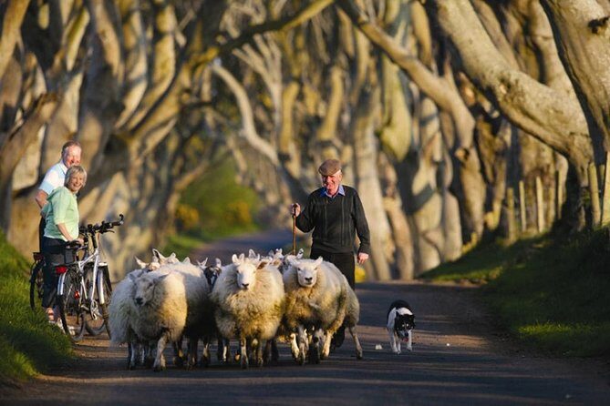 Dublin: Giant's Causeway, Dark Hedges, Dunluce and Belfast Titanic entrance fee - Frequently Asked Questions