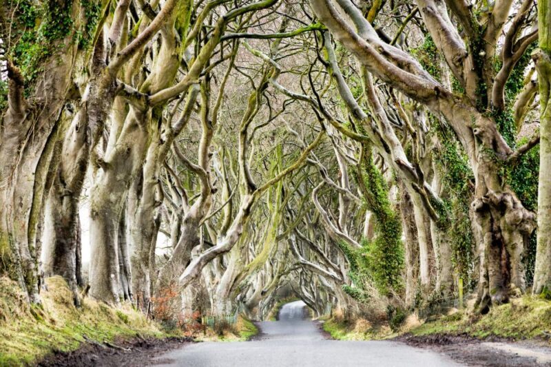 Dublin: Giants Causeway, Dark Hedges, Dunluce & Belfast Tour - FAQs