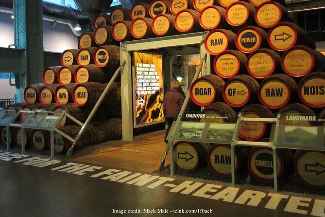Dublin in a Day Private Tour: Book of Kells & Guinness Storehouse - A Deep Dive into the Dublin in a Day Private Tour