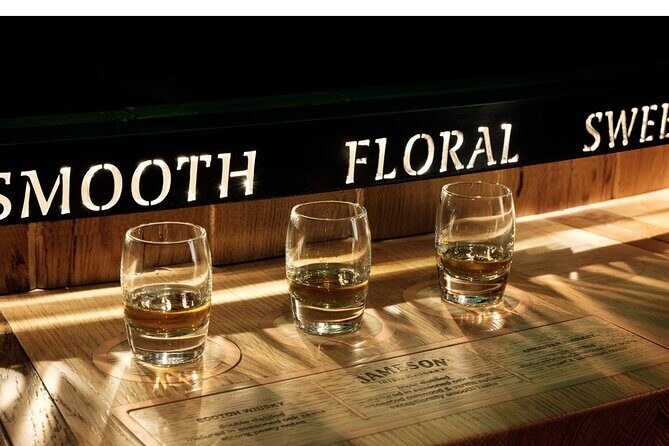 Dublin Jameson Distillery Bow St. Choice of Experiences - Who Is This Tour Best For?