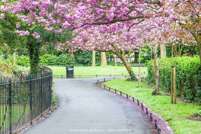 Dublin Off-The-Beaten-Path Private Literary Walking Tour - FAQs