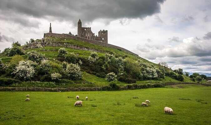 Dublin to Rock of Cashel, Cork City & Blarney Castle Guided Tour - A Deep Dive into the Tour Experience