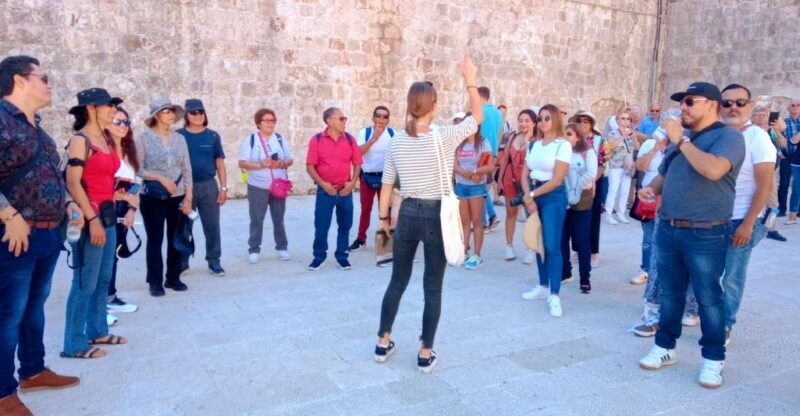 Dubrovnik: 1.5-Hour Guided Old Town Walking Tour - Key Points