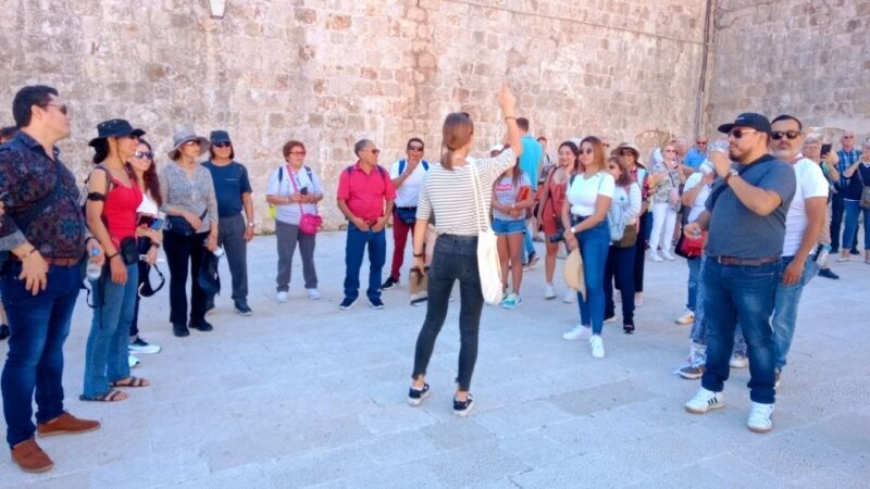 Dubrovnik: 1.5-Hour Guided Old Town Walking Tour - The Itinerary Breakdown: What You’ll See and Experience