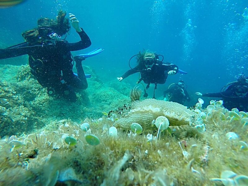 Dubrovnik: 1-Day Discover Scuba Diving Course - The Itinerary and Why It Matters