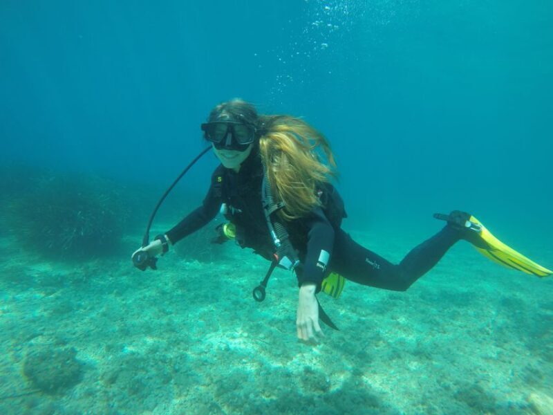 Dubrovnik: 1-Day Discover Scuba Diving Course - The Value for Money