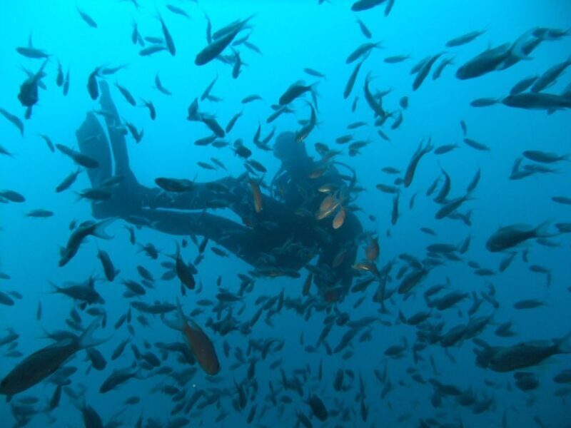 Dubrovnik: 1-Day Diving Package - Introduction to the Dubrovnik 1-Day Diving Experience