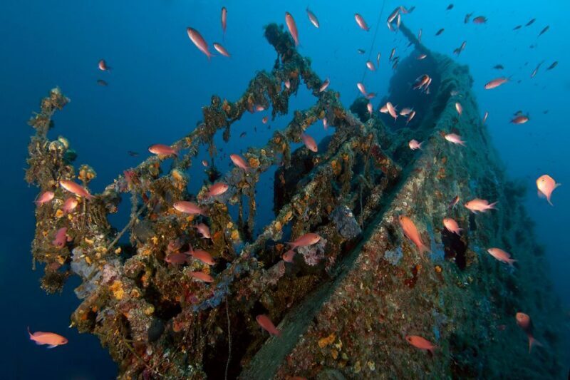 Dubrovnik: 1-Day Diving Package - What’s Included and What to Bring