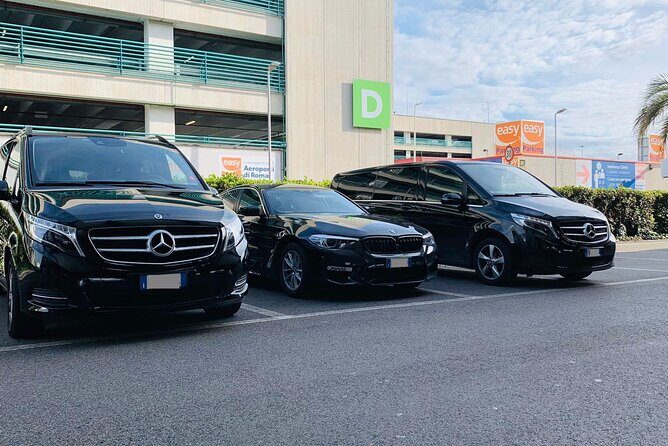 Dubrovnik Airport (DBV) to Dubrovnik Cruise Port Arrival Private Transfer - Key Points
