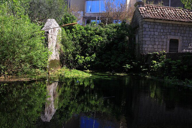Dubrovnik: Best views Sightseeing Tour - Authentic Experiences and Honest Feedback
